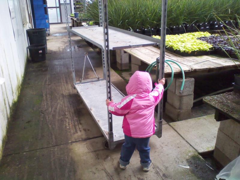 Blumengarten Greenhouse Inc Home